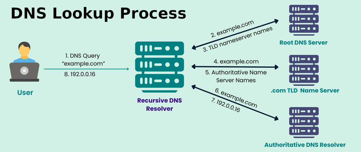 Domain Name System (DNS): Overview and Use Cases