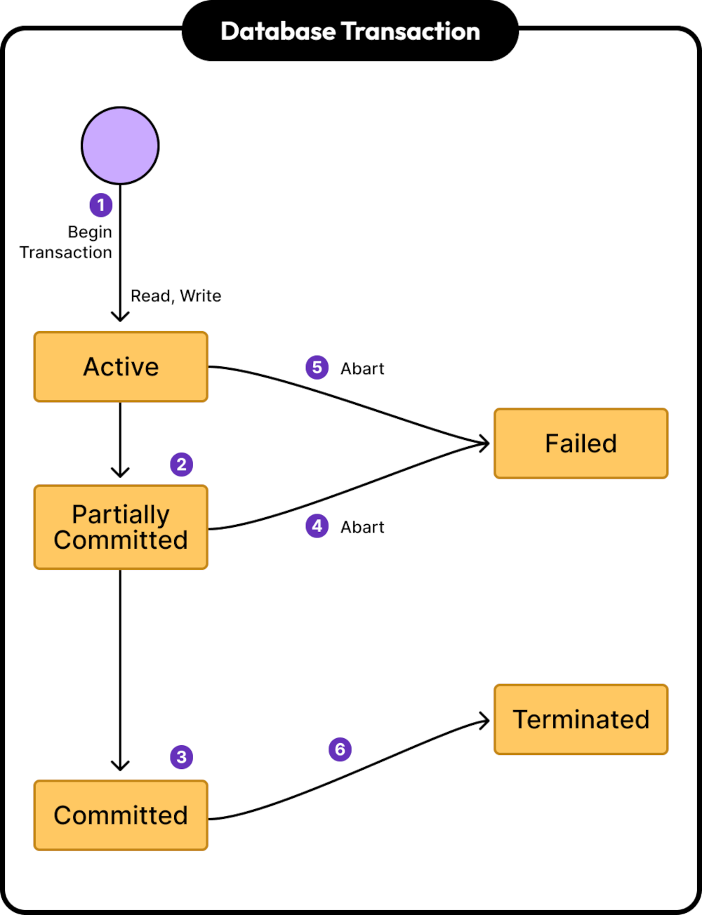 Database Transactions