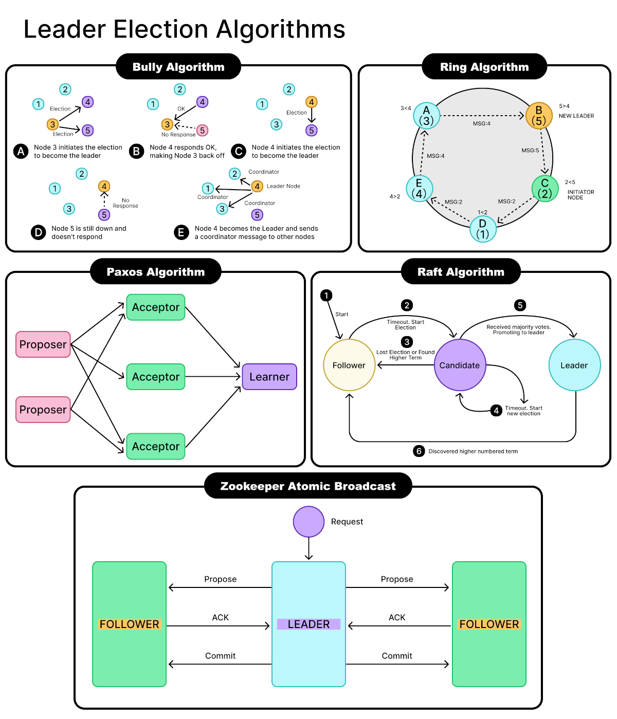 Leader Election Algorithms